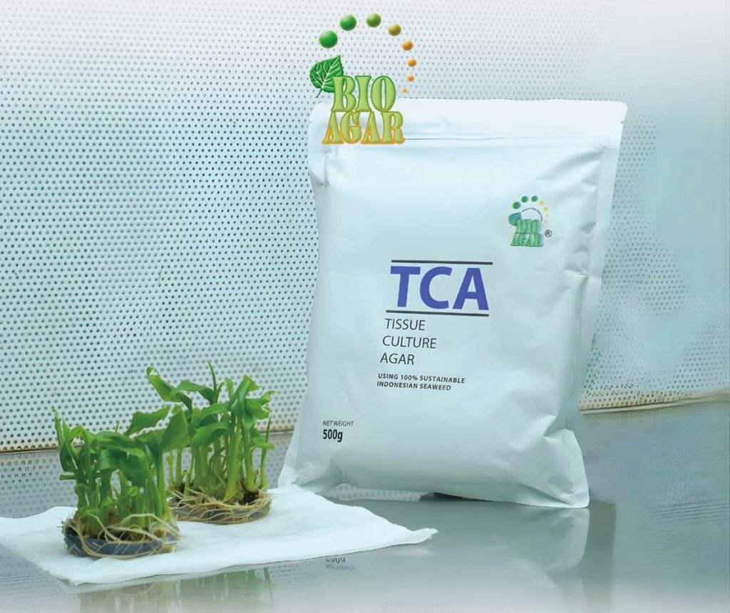 BioAgar (PT Agarindo Bogatama – TCA & TCA+ Agar)