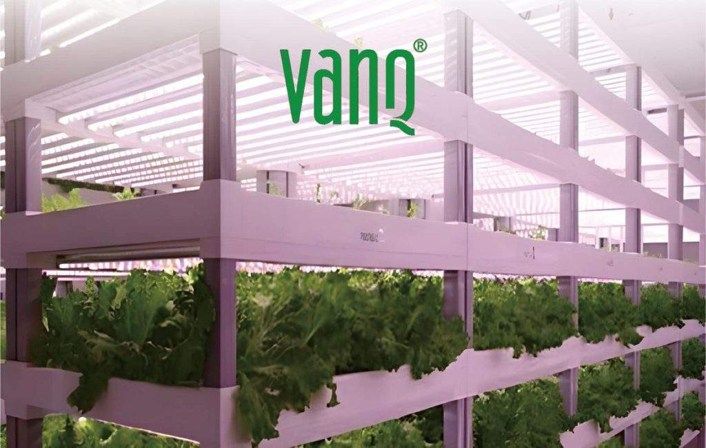 VanQ – LED Grow Lights for Horticulture