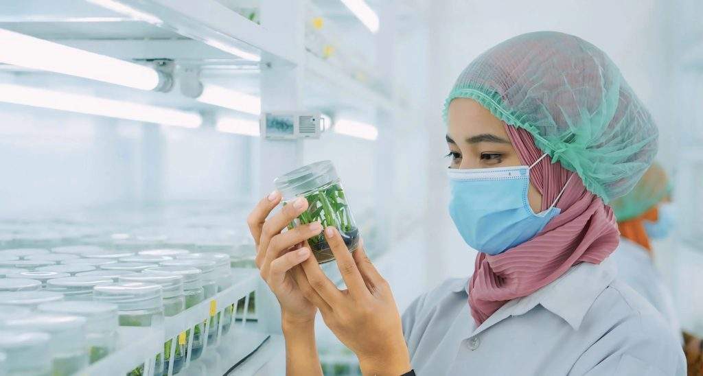 Building a Tissue Culture Laboratory from Scratch: Key Challenges