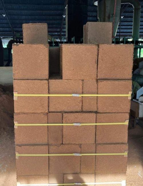 Cocopeat Block