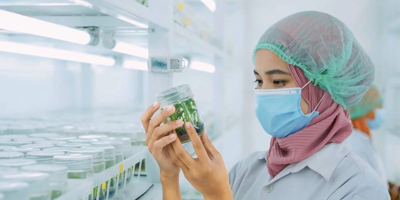 Building a Tissue Culture Laboratory from Scratch: Key Challenges